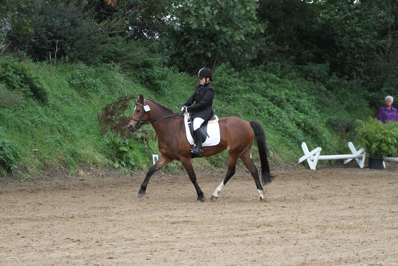 Bild 881 - WBO-Turnier am 18.9.11